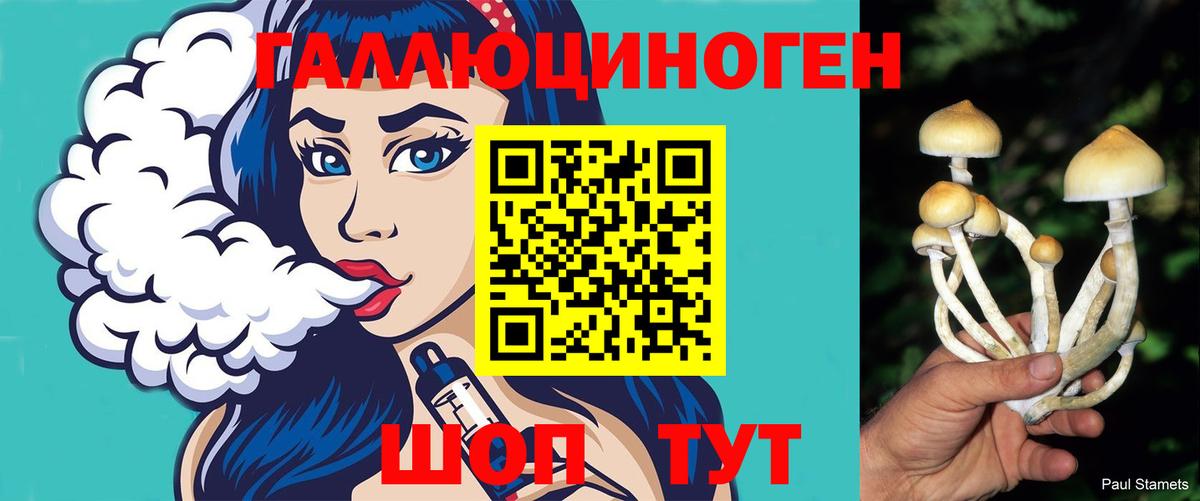 Псилоцибиновые грибы прущие грибы Назарово